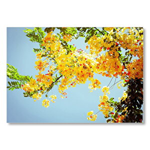 Sarı Kırmızı Çiçekler Ve Yeşil Yapraklar  Mdf Ahşap Tablo 25x35 cm