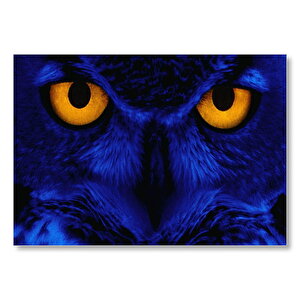 Neon Işıklar Altında Turuncu Gözlü Baykuş  Mdf Ahşap Tablo 50x70 cm
