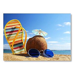 Kumsalda Coconut Parmakarası Ve Mavi Gözlük  Mdf Ahşap Tablo 50x70 cm
