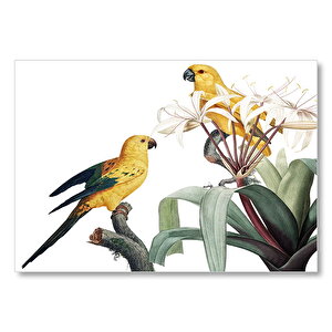 Dallar Arasında Sarı Papağanlar Gravür  Mdf Ahşap Tablo 35x50 cm
