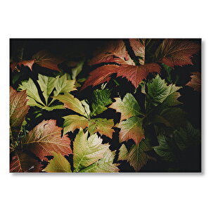 Yeşil Ve Kahverengi Yapraklar Bir Arada  Mdf Ahşap Tablo 25x35 cm
