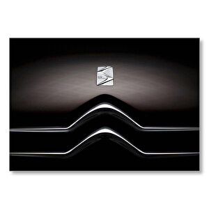 Citroen Ds Inside Logo  Mdf Ahşap Tablo 35x50 cm