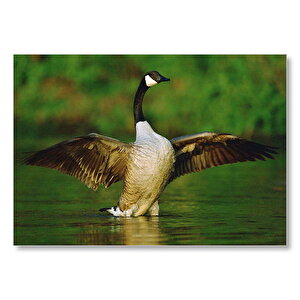 Gölde Kanatlarını Açmış Kaz  Mdf Ahşap Tablo 25x35 cm