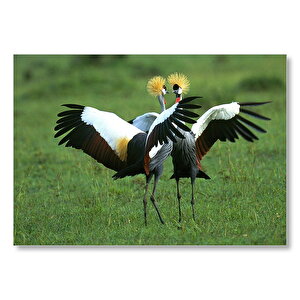 Çayırda Dans Eden Turnalar  Mdf Ahşap Tablo 50x70 cm