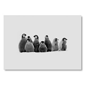 Karlar İçinde Yavru Penguenler  Mdf Ahşap Tablo 25x35 cm
