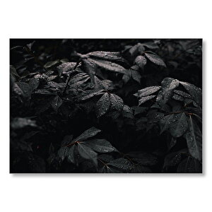 Dev Yapraklar Üzerinde Yağmur Damlaları  Mdf Ahşap Tablo 35x50 cm