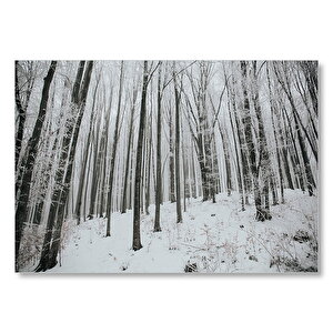 Karlı Orman Ve Çıplak Ağaçlar  Mdf Ahşap Tablo 35x50 cm