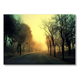 Gündoğumu Ağaçlar Arasındaki Sisli Yol  Mdf Ahşap Tablo 50x70 cm