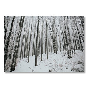 Karlı Orman Ve Çıplak Ağaçlar  Mdf Ahşap Tablo 25x35 cm