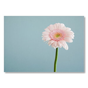 Pembe Beyaz Çiçek Ve Sapı  Mdf Ahşap Tablo 35x50 cm