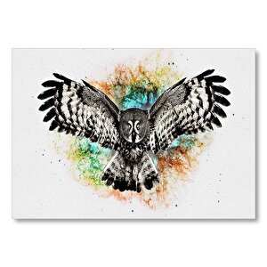 Kanatları Açık Dev Baykuş Suluboya Püskürtme  Mdf Ahşap Tablo 50x70 cm