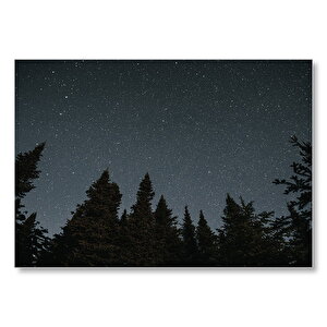 Ağaçlar Ve Yıldızlı Gökyüzü  Mdf Ahşap Tablo 25x35 cm