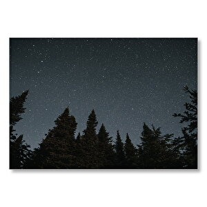 Ağaçlar Ve Yıldızlı Gökyüzü  Mdf Ahşap Tablo 35x50 cm