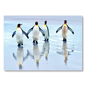 İmparator Penguenler  Mdf Ahşap Tablo 50x70 cm