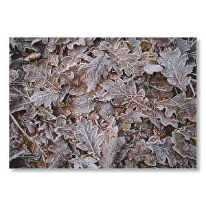 Yerde Donmuş Yapraklar  Mdf Ahşap Tablo 25x35 cm