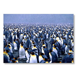 İmparator Penguenleri Mahşer Kalabalığı  Mdf Ahşap Tablo 50x70 cm