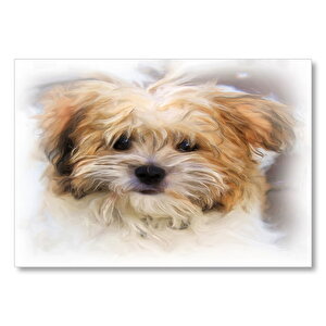 Sevimli Kahverengi Terrier Çizim  Mdf Ahşap Tablo 50x70 cm