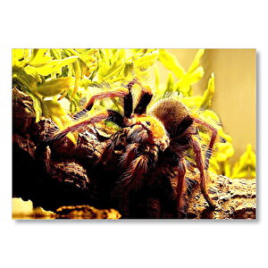 Ağaç Sarı Yapraklar Ve Tarantula  Mdf Ahşap Tablo 25x35 cm