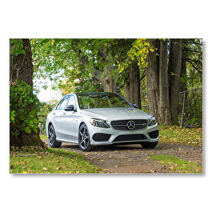 Orman Patikası Ve Gri Mercedes  Mdf Ahşap Tablo
