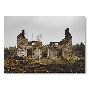 Taş Evin Yıkıntıları  Mdf Ahşap Tablo 50x70 cm