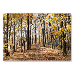 Sonbahar Renklerinde Orman  Mdf Ahşap Tablo 25x35 cm