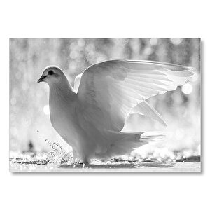 Kanatları Açık Beyaz Güvercin Siyah Beyaz  Mdf Ahşap Tablo 50x70 cm