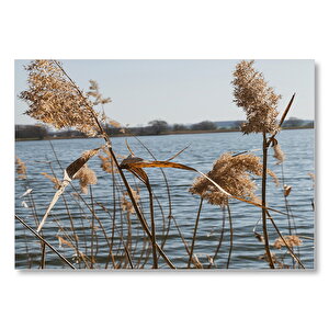 Göl Kıyısında Sazlar  Mdf Ahşap Tablo 50x70 cm