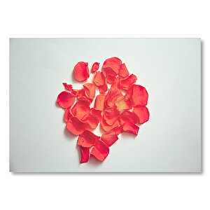 Beyaz Zeminde Kırmızı Gül Yaprakları  Mdf Ahşap Tablo 35x50 cm