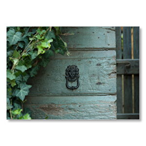 Sarmaşıklar Arasındaki Aslan Başı Kapı Tokmağı  Mdf Ahşap Tablo 35x50 cm