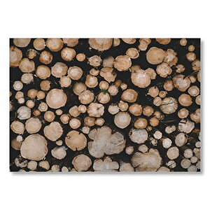 Kesilmiş Ağaç Kütükleri  Mdf Ahşap Tablo 35x50 cm