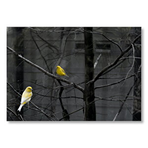 Kuru Ağaçtaki Kanaryalar  Mdf Ahşap Tablo 25x35 cm