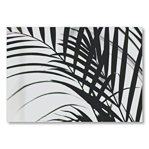 Hurma Dalları Yakın Plan  Mdf Ahşap Tablo 50x70 cm