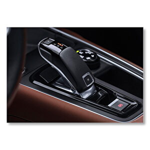 Citroen C5 Aircross Vites Detay  Mdf Ahşap Tablo 25x35 cm