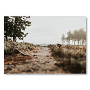 Ağaçlar Arasındaki Patika Ve Tepeler  Mdf Ahşap Tablo 25x35 cm