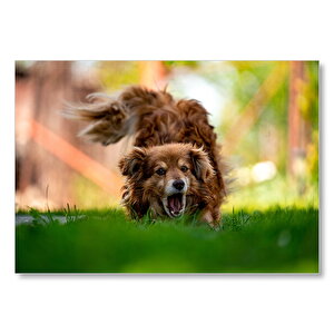 Oyuncu Kahverengi Köpek  Mdf Ahşap Tablo 25x35 cm