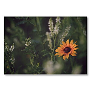 Sarı Papatya Ve Hayıt Çiçekleri  Mdf Ahşap Tablo 50x70 cm