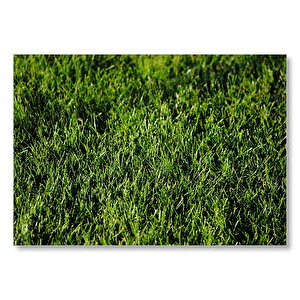Çimenler Yakın Plan  Mdf Ahşap Tablo 25x35 cm