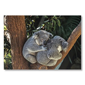 Dalda Koala Kardeşliği  Mdf Ahşap Tablo 25x35 cm