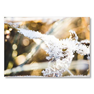 Donmuş Dallar Ve Güneş Işıkları  Mdf Ahşap Tablo 35x50 cm
