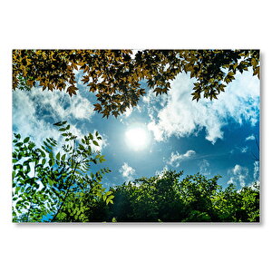Sarı Ve Yeşil Yapraklar Arasından Gökyüzü  Mdf Ahşap Tablo 35x50 cm