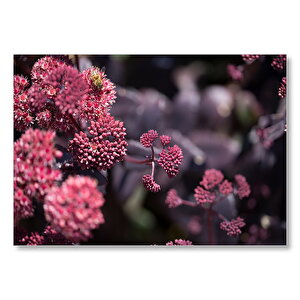 Pembe Tomurcuklu Çiçekler  Mdf Ahşap Tablo 25x35 cm
