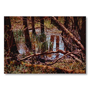 Orman Ve Su Bir Arada  Mdf Ahşap Tablo 50x70 cm