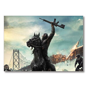 Maymunlar Gezegeni Movie Poster  Mdf Ahşap Tablo 35x50 cm