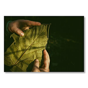 Adamın Ellerinde Dev Yaprak  Mdf Ahşap Tablo 25x35 cm