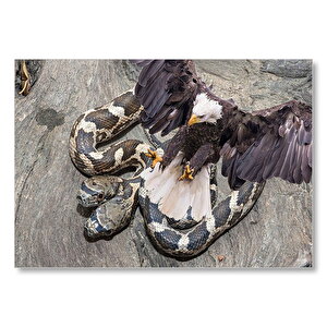 Dev Kartal Ve İki Başlı Yılan Kompozisyon  Mdf Ahşap Tablo 25x35 cm