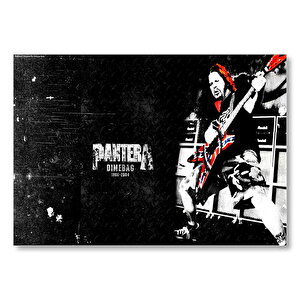 Pantera Solist Dimebag Darrell  Mdf Ahşap Tablo 35x50 cm