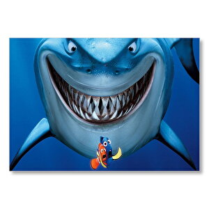 Kayıp Balık Nemo Köpek Balığı  Mdf Ahşap Tablo 50x70 cm