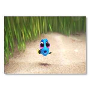 Kayıp Balık Nemo  Mdf Ahşap Tablo 50x70 cm