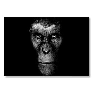 Maymunlar Cehennemi Kings Joint Görseli  Mdf Ahşap Tablo 50x70 cm