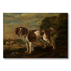 Kahverengi Beyaz Çoban Köpeği  Mdf Ahşap Tablo 25x35 cm